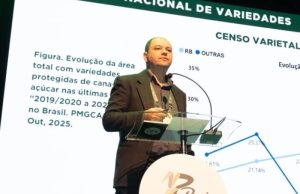 Variedades da RIDESA representaram mais da metade da cana moída na safra 2024/25