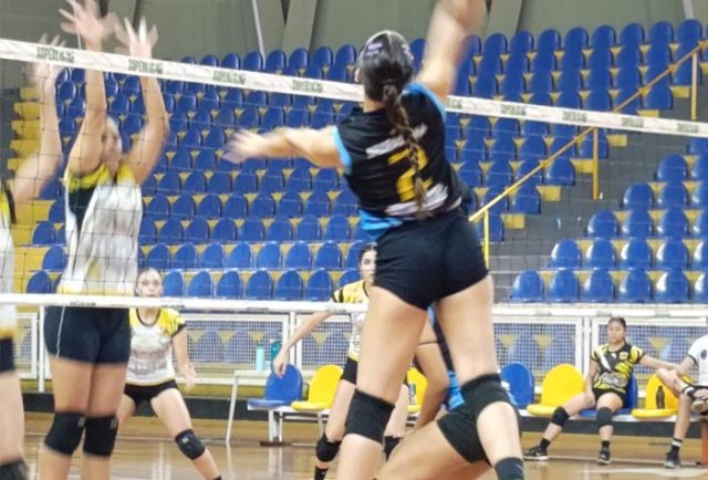 Volei