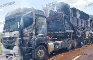 Caminhão com 50 toneladas de pluma pega fogo na SP-255 em Américo e parte da carga é destruída