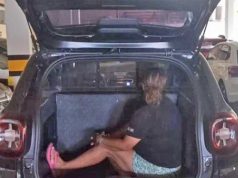 Mulher, chefe de quadrilha macabra que roubava cemitério é presa e vai passar finados na cadeia