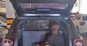 Mulher, chefe de quadrilha macabra que roubava cemitério é presa e vai passar finados na cadeia