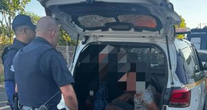 Guarda Municipal detém dois suspeitos por furto de gradil na SP-255