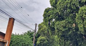 Dia de Finados: chuva e trovoadas devem marcar um dia instável em Araraquara