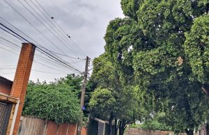 Dia de Finados: chuva e trovoadas devem marcar um dia instável em Araraquara