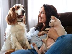 Animais de estimação no Brasil: o despertar do seu estatuto jurídico