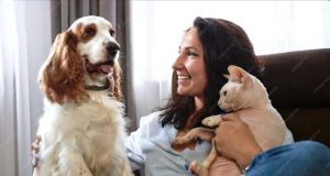 Animais de estimação no Brasil: o despertar do seu estatuto jurídico