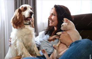 Animais de estimação no Brasil: o despertar do seu estatuto jurídico