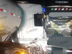 Árvore cai sobre a pista em Dois Córregos, ônibus freia e carreta bate na traseira