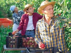 Emprego formal segue estável em São Paulo, mas agropecuária paulista registra retração em outubro