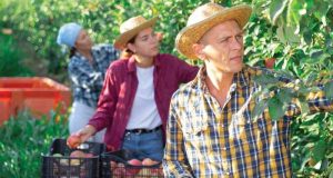 Emprego formal segue estável em São Paulo, mas agropecuária paulista registra retração em outubro