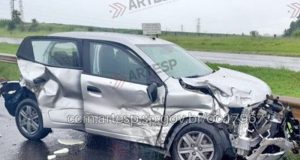 Cão solto na Rodovia Washington Luís em Araraquara, faz caminhão colidir na traseira de outro veículo