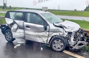 Cão solto na Rodovia Washington Luís em Araraquara, faz caminhão colidir na traseira de outro veículo