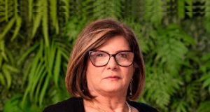 Lúcia Mascaro, pesquisadora do CDMF e docente da UFSCar, integra Conselho Superior da Fapesp