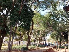 Câmara discute nesta terça a prática de publicidade em áreas públicas, revogando lei criada no passado