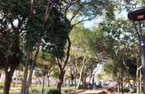 Câmara discute nesta terça a prática de publicidade em áreas públicas, revogando lei criada no passado