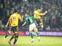 Palmeiras vence o Novorizontino e é campeão paulista pela 27ª vez na história da competição