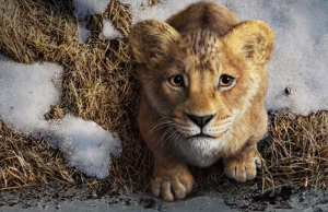 CineSolar exibe curtas-metragens e “Mufasa: O Rei Leão” com entrada e pipoca de graça