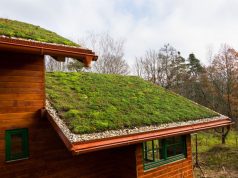 Câmara começa analisar aprovação do programa “telhado verde” nas residências em Araraquara