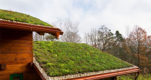 Câmara começa analisar aprovação do programa “telhado verde” nas residências em Araraquara