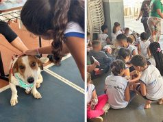 Alunos de Medicina Veterinária da Uniara promovem ato de extensão com entidades sociais de Matão