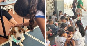 Alunos de Medicina Veterinária da Uniara promovem ato de extensão com entidades sociais de Matão