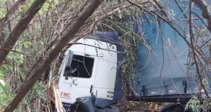 Motorista morre na SP-215 ao sair da pista e bater em árvore na beira da rodovia nesta sexta-feira