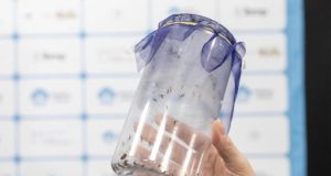 Para combater a dengue, Araraquara inicia fase de comunicação e engajamento do Método Wolbachia