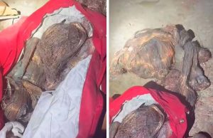 Homem é preso com mais de 25 quilos de cobre roubados de empresa de energia solar