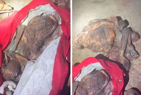 Homem é preso com mais de 25 quilos de cobre roubados de empresa de energia solar