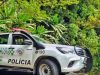 Homem é preso após polícia encontrar 136 animais mortos e dezenas em situação de abandono em Ibaté