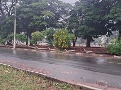 Chuvas e falta de manutenção derrubam alambrado que cerca Cemitério dos Britos em Araraquara