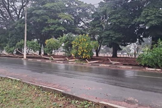 Chuvas e falta de manutenção derrubam alambrado que cerca Cemitério dos Britos em Araraquara