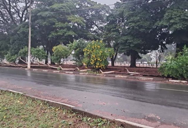 Cemiterio dos Britos
