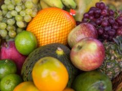Comissão Nacional de Fruticultura da CNA avalia medidas de controle de pragas e doenças