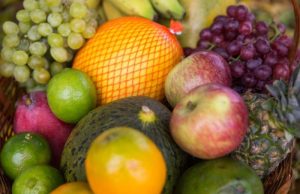 Comissão Nacional de Fruticultura da CNA avalia medidas de controle de pragas e doenças