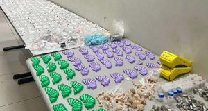 Com ajuda da farejadora Atena, militares quebram esquema de três traficantes adolescentes no Oitis