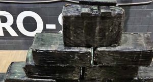 Casal é preso transportando mais de 300kg de maconha na Rodovia Washington Luís