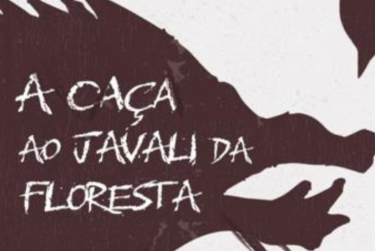 Escritor Assis Furtado lança novo livro nesta quarta (10), na Biblioteca