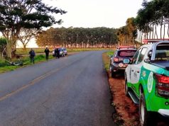 Homens morrem após colisão de moto com árvore em acostamento de rodovia na região