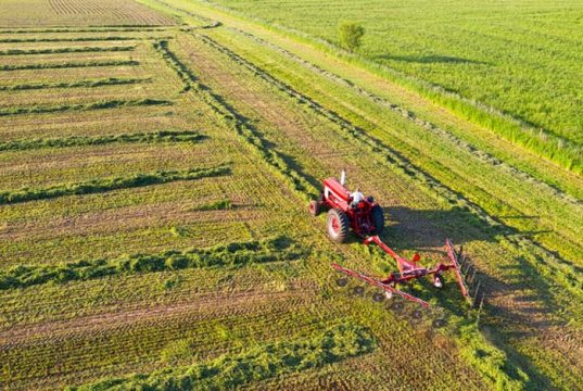 Publicada MP que institui medidas de apoio financeiro a produtores rurais afetados por eventos climáticos