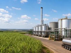 A Adecoagro adquiriu a Usina Caaparaó (MS) da Raízen por R$ 760 milhões
