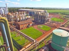 Grupo Itajobi – dono de três usinas – busca reestruturar R$ 3,76 bilhões em dívidas