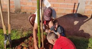 Projeto de Educação Ambiental incentiva alunos da rede municipal a plantar árvores em Araraquara