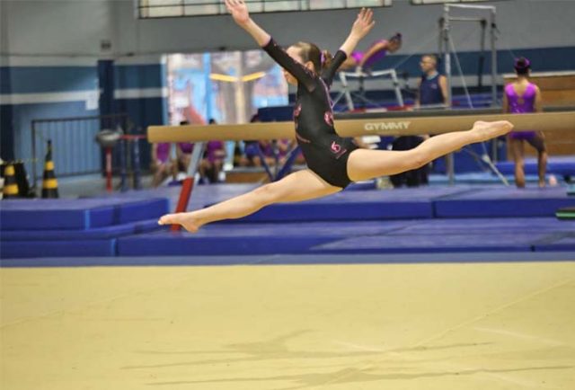 Ginastica