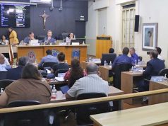 Câmara aprova R$ 19,8 milhões em créditos e revoga lei que trata da instalação de antenas