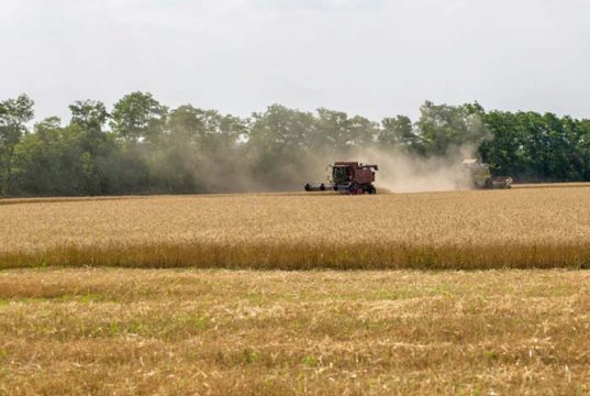 Crédito rural para a agricultura empresarial soma R$ 28,2 bilhões no primeiro mês da safra 2026/2027
