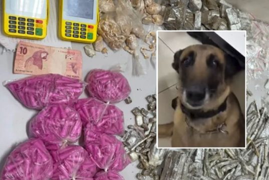 Traficante é preso nos Oitis pelos policiais do Canil do BAEP nesta terça-feira com ajuda de Kira
