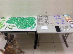 Traficante é preso no Paraíso, em Araraquara, pelo canil do BAEP; Kira brilha na localização das drogas.