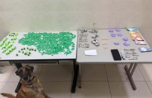 Traficante é preso no Paraíso, em Araraquara, pelo canil do BAEP; Kira brilha na localização das drogas.