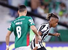 Palmeiras empata com o Botafogo no Rio e perde liderança do Brasileirão para o Flamengo